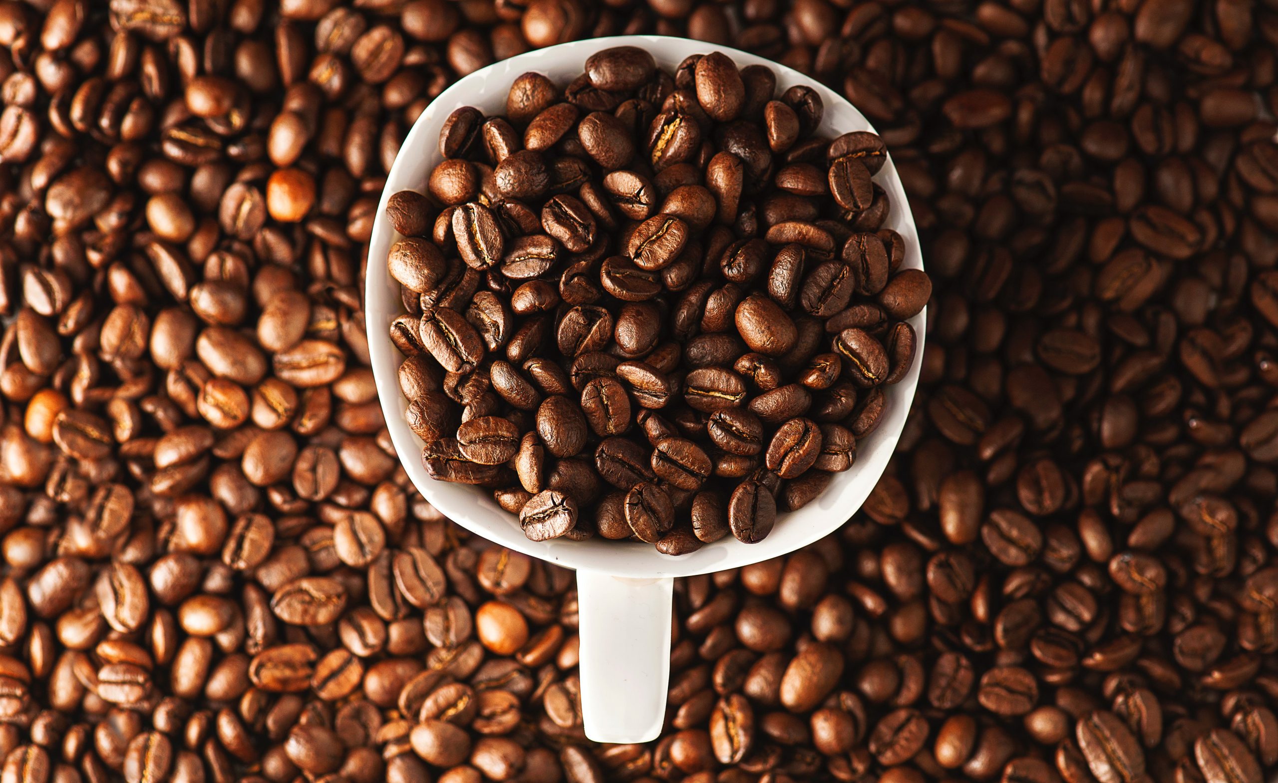 Café arábica es una de las variedades de café más conocidas del mundo.